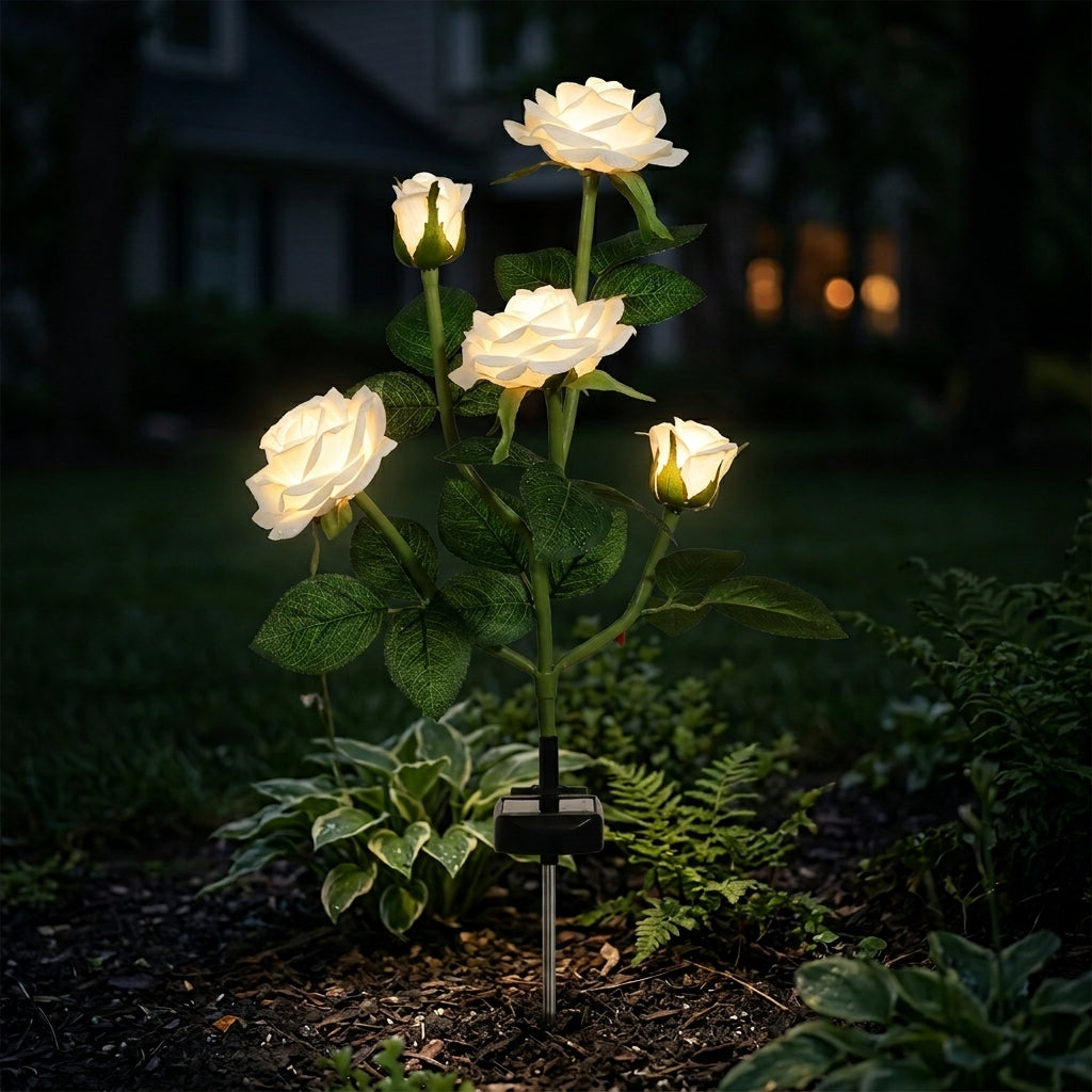 Radiant Rose Solar Lights