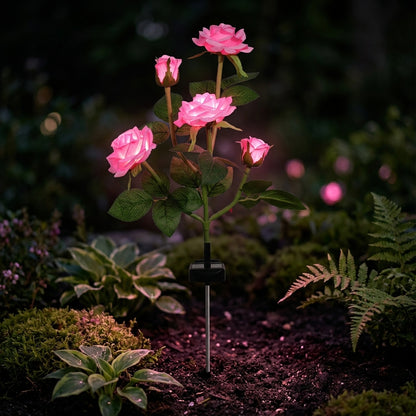 Radiant Rose Solar Lights
